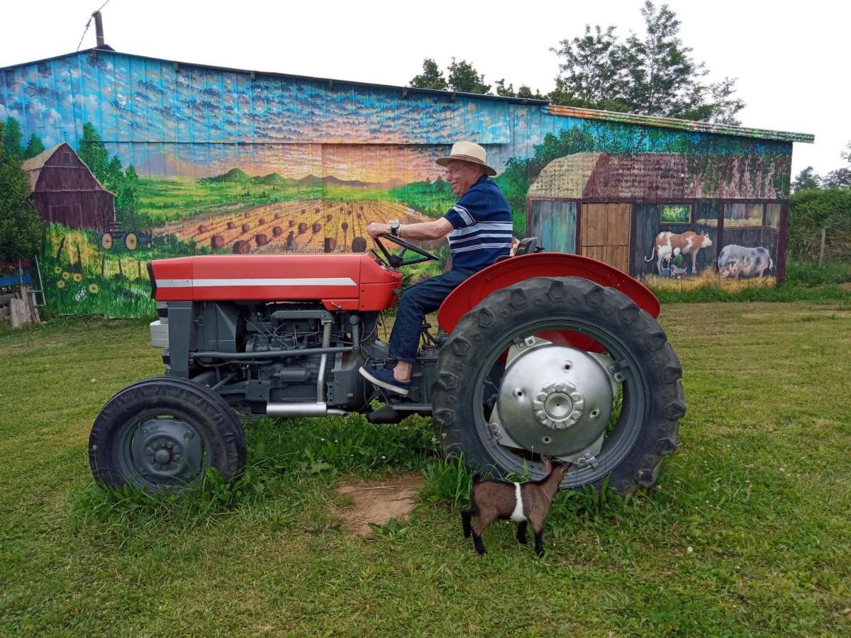 La Petite Ferme De Pouillon - Parc Animalier - Aire De Loisirs住宿加早餐旅馆 外观 照片