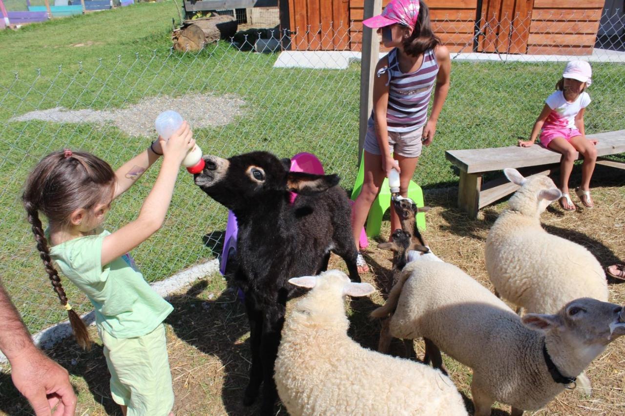 La Petite Ferme De Pouillon - Parc Animalier - Aire De Loisirs住宿加早餐旅馆 外观 照片