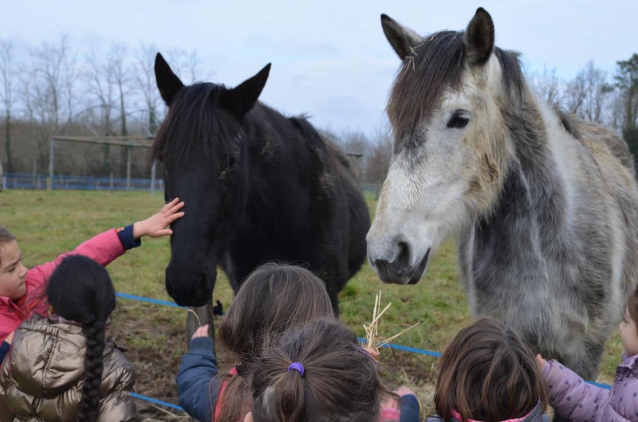 La Petite Ferme De Pouillon - Parc Animalier - Aire De Loisirs住宿加早餐旅馆 外观 照片