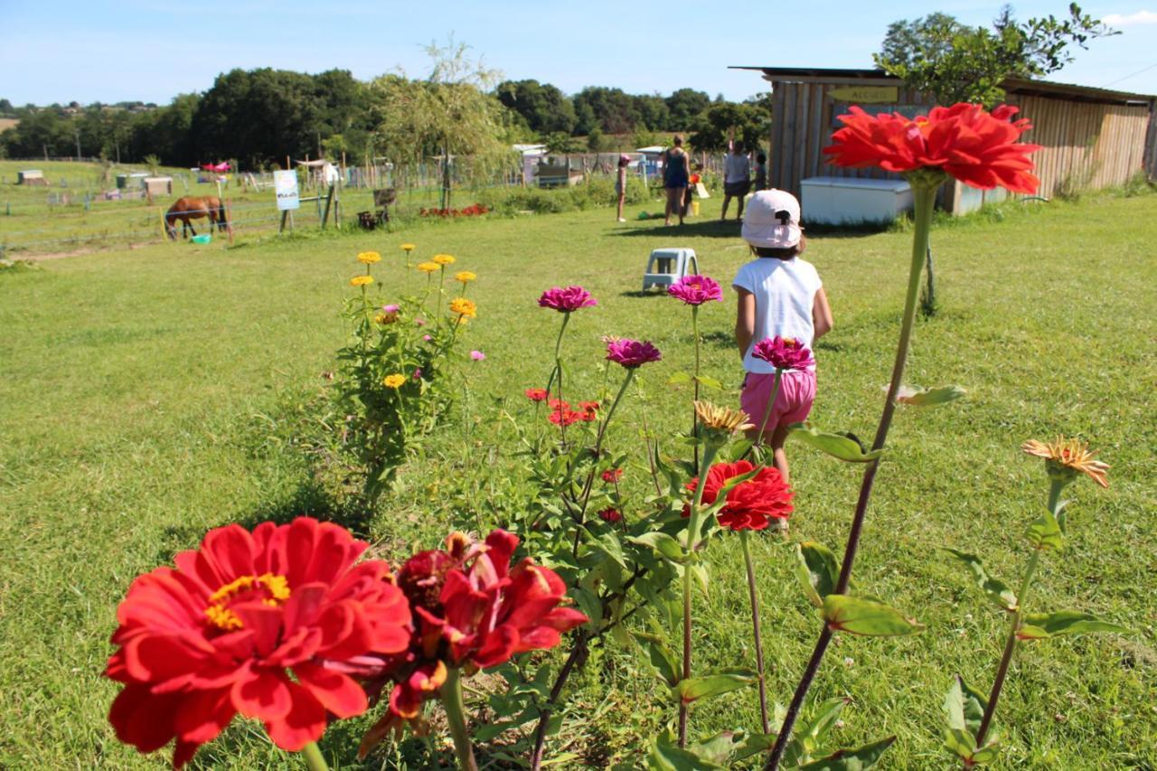 La Petite Ferme De Pouillon - Parc Animalier - Aire De Loisirs住宿加早餐旅馆 外观 照片