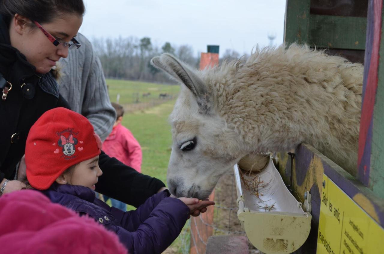 La Petite Ferme De Pouillon - Parc Animalier - Aire De Loisirs住宿加早餐旅馆 外观 照片