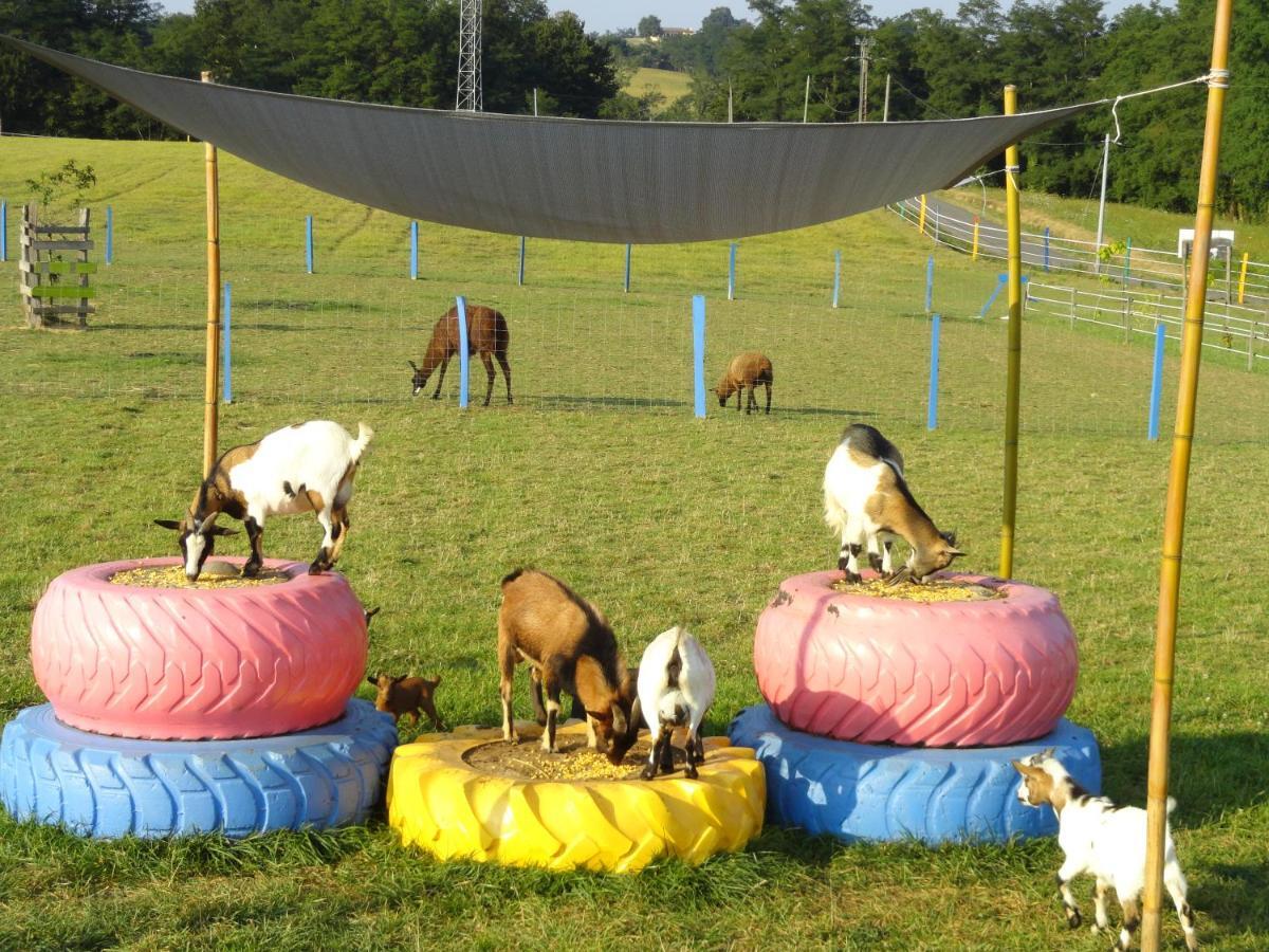 La Petite Ferme De Pouillon - Parc Animalier - Aire De Loisirs住宿加早餐旅馆 外观 照片